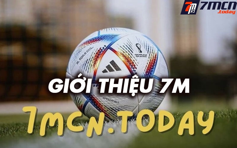 Giới thiệu sodasherpa.com